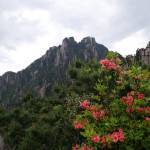 三清山玉华峰农庄