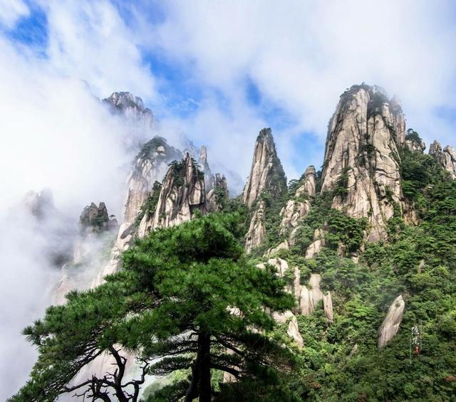 天下山峰何其多,惟有此处峰成林