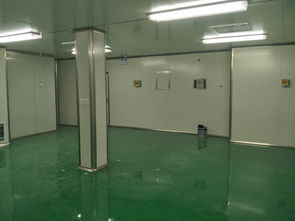 株洲运动地板厂家 供应甘肃实惠的运动地板