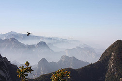 峰华专题模板-峰华