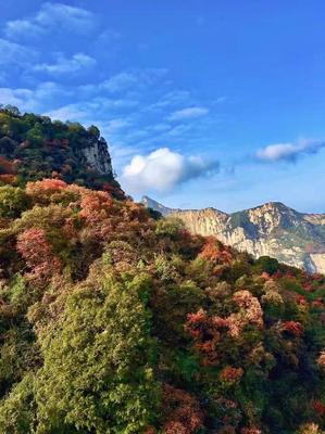 隐藏在华山旁的“陕西九寨沟”!却比华山更秀美、更幽静!